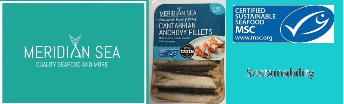 Meridian Sea Ltd